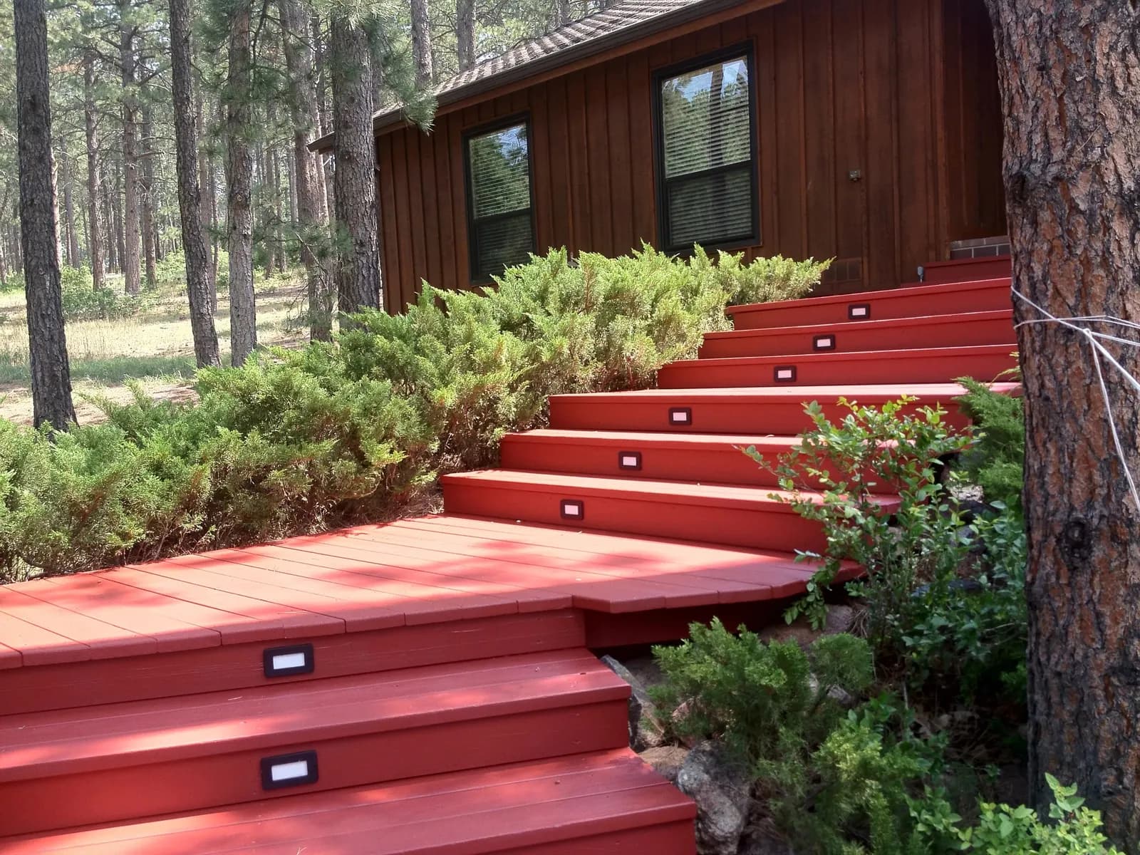 Wood-sided house in the pines with exterior stairs coated in red